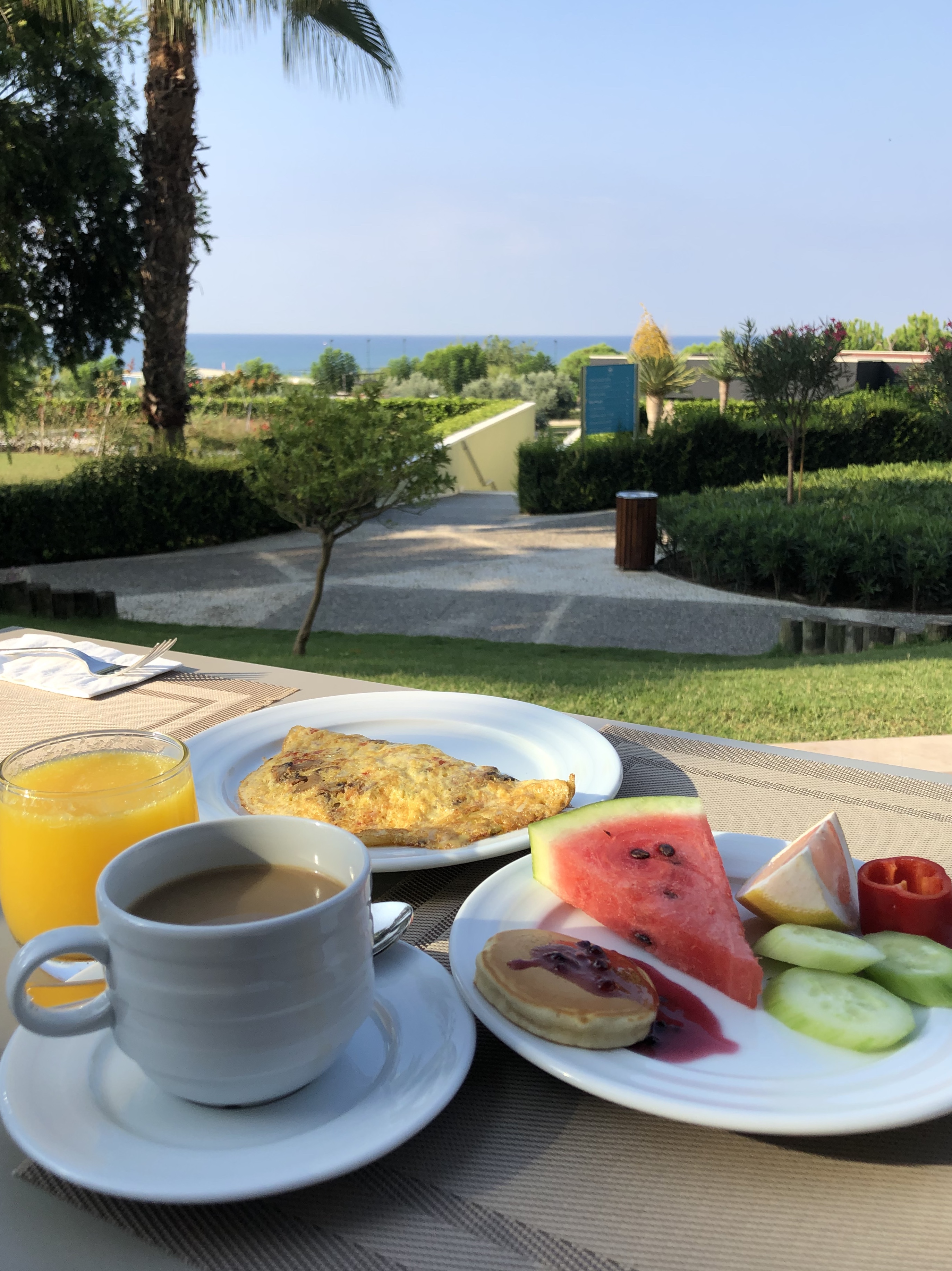 2916EA0D-0E9B-4E6D-89E8-8947B6E4D112_1_201_a