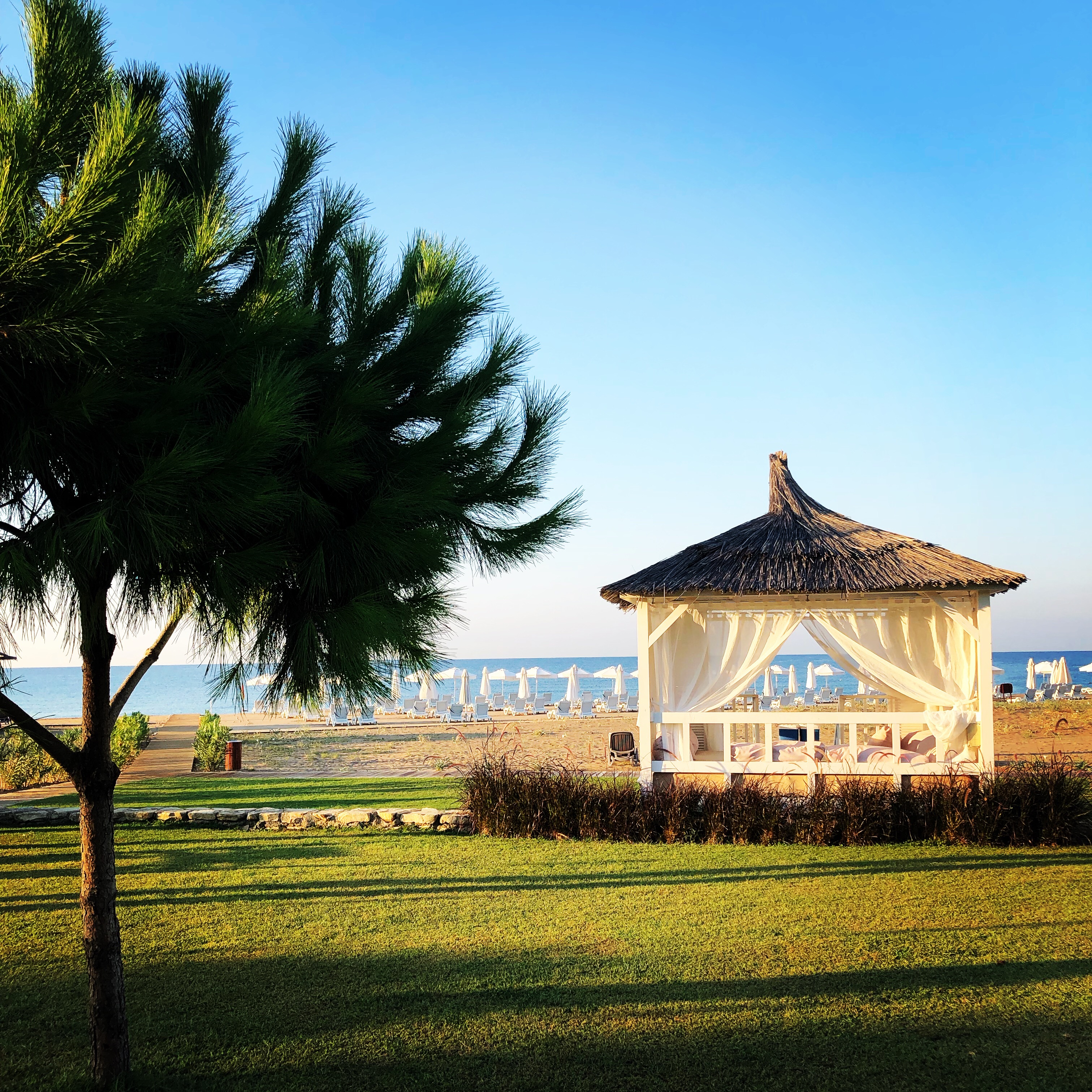 29E8A4EB-046D-4191-9866-60713368B1C0