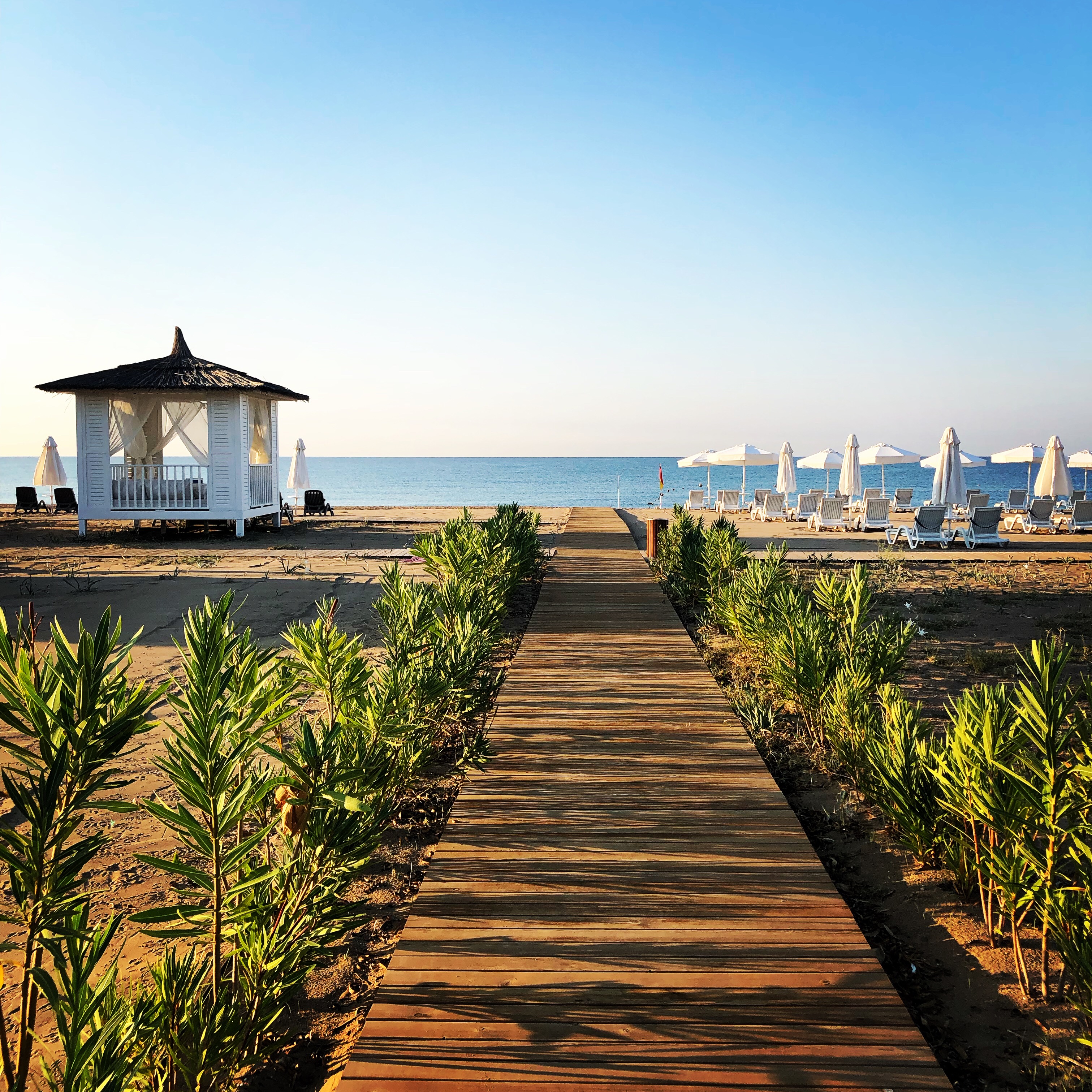 603EB10D-A061-4CAC-A006-F61A65BBE52B