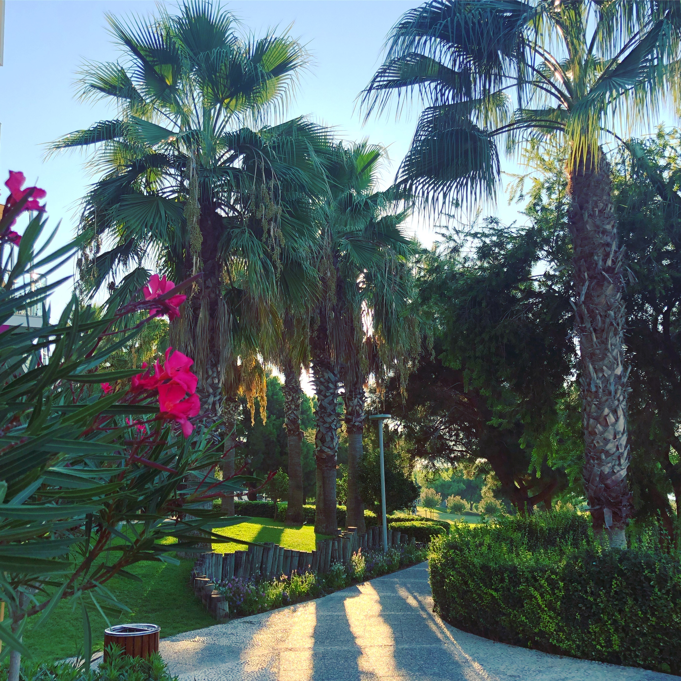 93C21EA0-1DF4-45B3-868F-815EFA6F267B