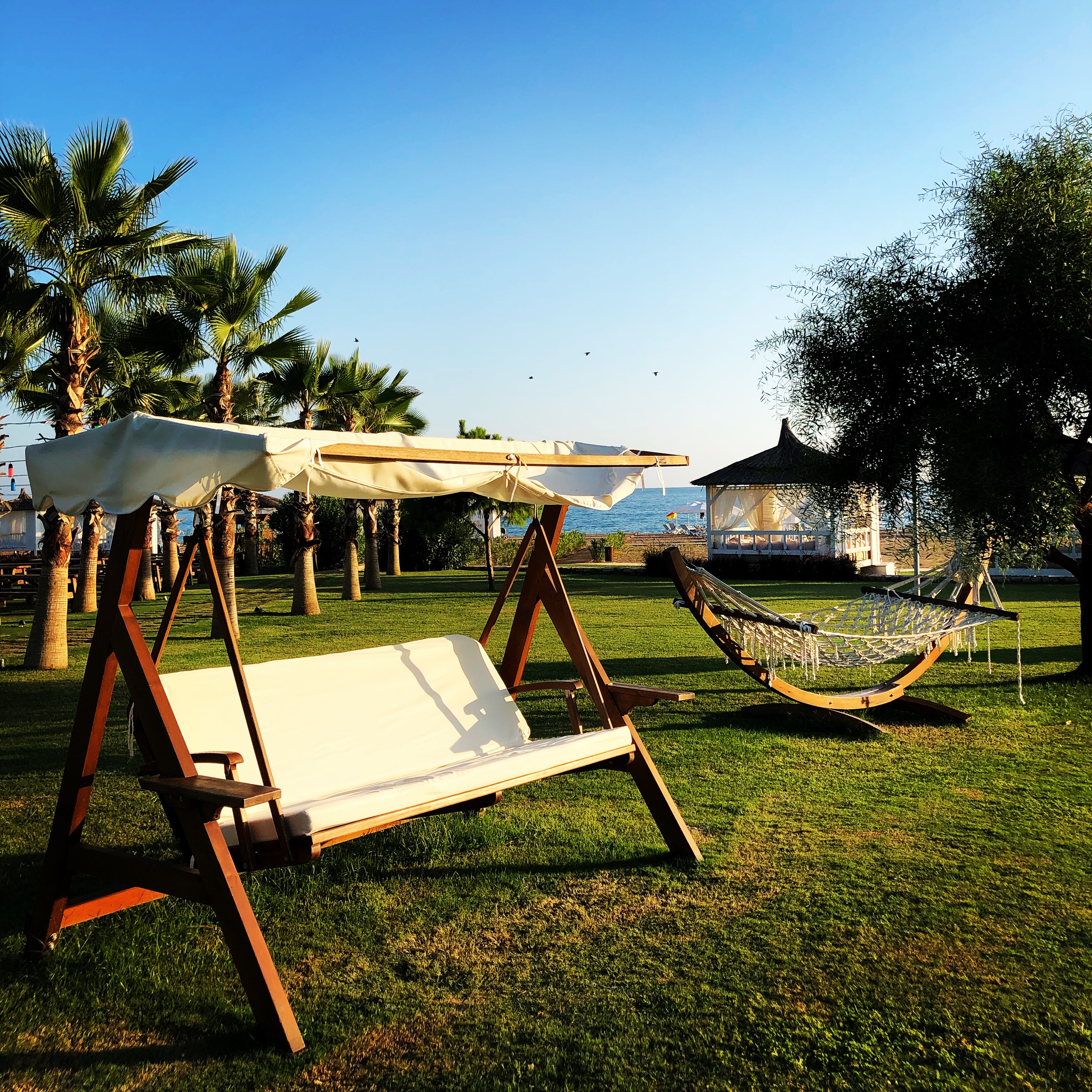 A85951F1-F7FD-41D9-AF12-05746C50990F