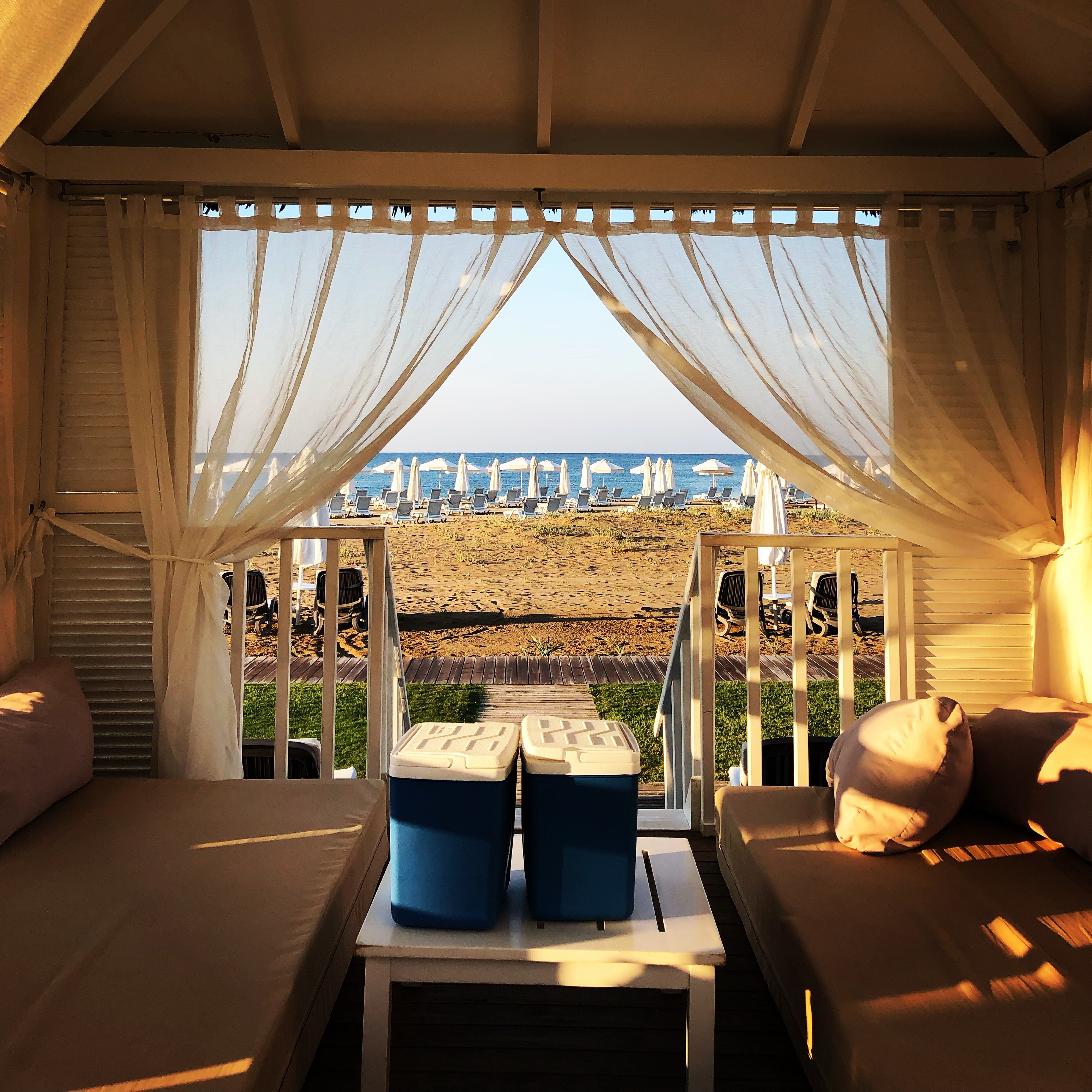 E3DE29DF-BBBB-4F6D-877F-084974FE6FC1